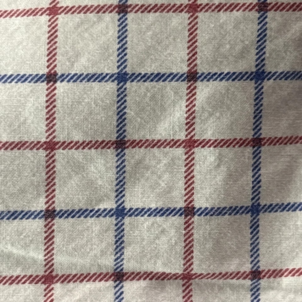 Discontinued Ralph Lauren University Tattersal in Blue and Red